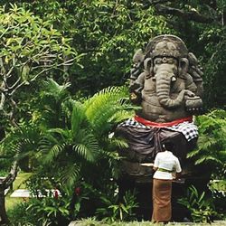 Statue of buddha against trees