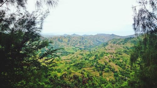 Scenic view of landscape against clear sky