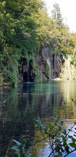 Scenic view of lake in forest
