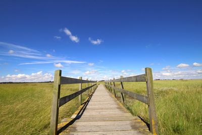 Low angle view of boardwalk through grassy field