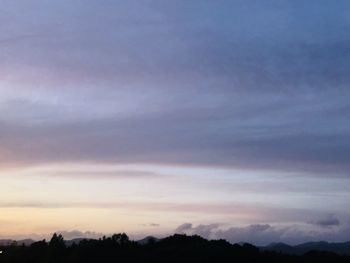 Low angle view of silhouette trees against sky during sunset