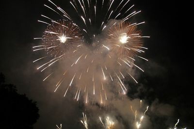 Low angle view of firework display at night