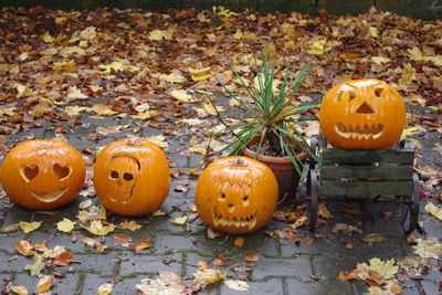 Pumpkins on autumn leaves