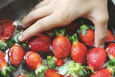 Close-up of hand washing strawberries