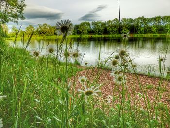 Scenic view of lake against sky