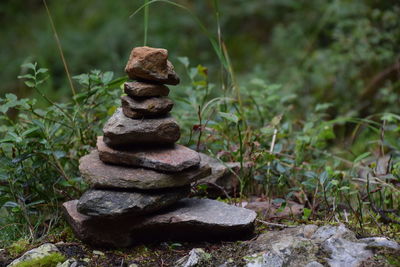 Close-up of stack of grass