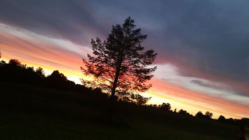 Silhouette tree on field against dramatic sky