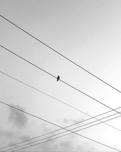 Low angle view of birds perching on cable against sky