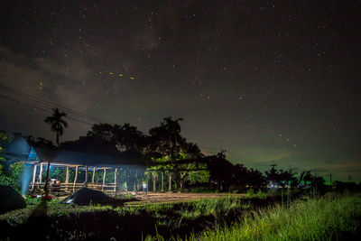 Trees on landscape at night