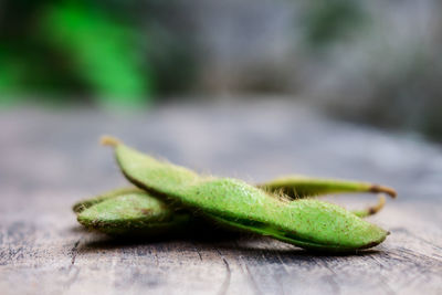 Close-up of green leaf on table