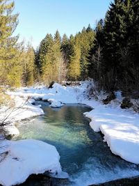 Frozen river by trees against sky during winter