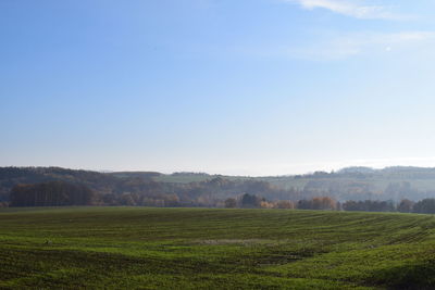 Scenic view of field against sky