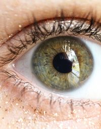 Close-up of human eye
