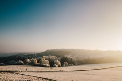 Scenic view of landscape against clear sky