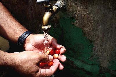 Cropped hands washing berries