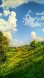 Scenic view of landscape against sky