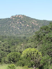 Scenic view of landscape against clear sky