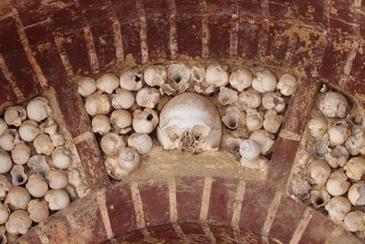 Close-up of human skull