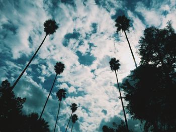 Low angle view of silhouette trees against sky