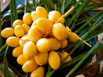 Close-up of oranges growing on tree