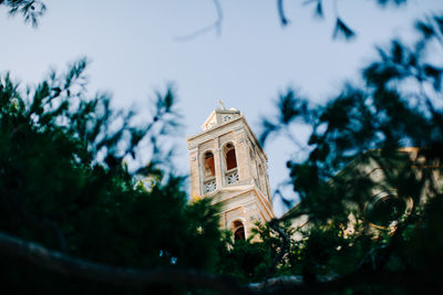 Low angle view of trees and building against sky