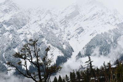 Scenic view of snow covered mountain