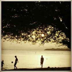 Scenic view of sea at sunset
