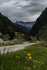 Scenic view of landscape and mountains against sky