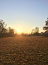 Scenic view of field against clear sky during sunset