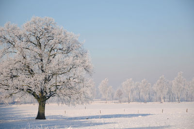 Winter time in the germanmuensterland