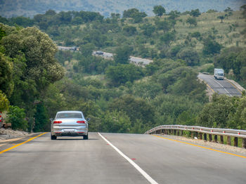 Cars on road by trees