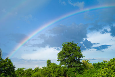 Low angle view of rainbow against sky