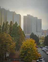 Trees and cityscape against sky