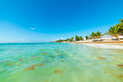 Scenic view of sea against blue sky