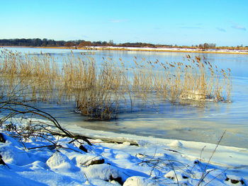 Scenic view of frozen lake against blue sky