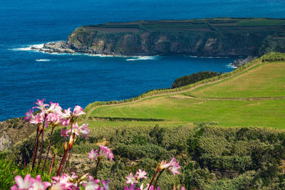 Scenic view of sea