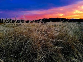 Scenic view of field against cloudy sky