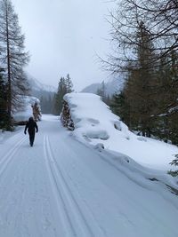 Scenic view of snow covered land