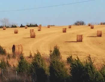 Scenic view of rural landscape