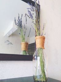 Potted plants on table against wall at home