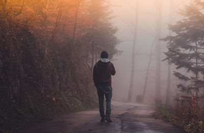 Rear view of man walking on road in forest