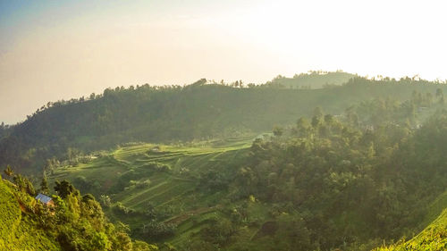 Scenic view of landscape against sky during sunset