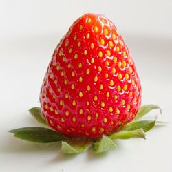 Close-up of red fruit over white background