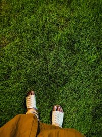 Low section of person standing on field