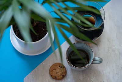 High angle view of potted plant on table