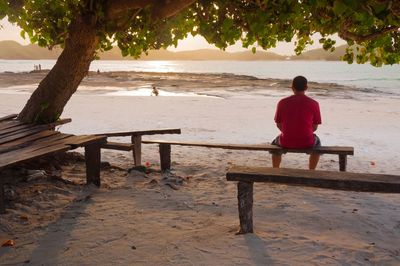 Rear view of boy sitting on bench at beach