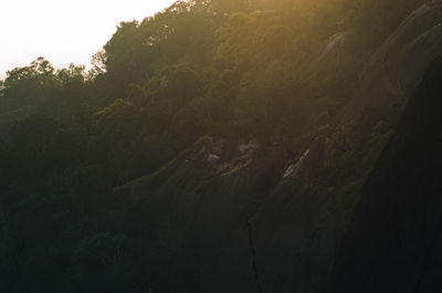 High angle view of trees on landscape against sky