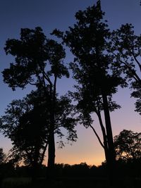 Low angle view of silhouette trees against sky during sunset