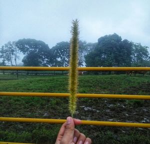 Cropped image of person holding umbrella on land