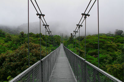 Over the rainforest. iron suspension bridge in costa rica, the monteverde cloud forest